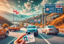 Photo of Driving in Georgia with a UAE License: Everything You Need to Know