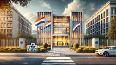 Photo of Embassy of the Netherlands in Georgia: Services, Location & Contact Information